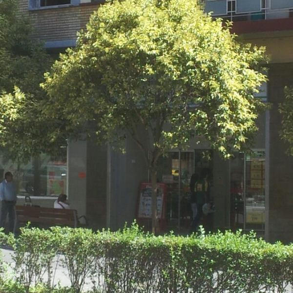 Photo taken at Dia by Gustavo B. on 9/15/2012