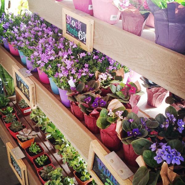 Photo taken at Trader Joe's by Joey C. on 1/26/2015-美国加利福尼亚州帕萨迪纳罗斯米德大道北467 Photo taken at Trader Joe's by Joey C. on 1/26/2015