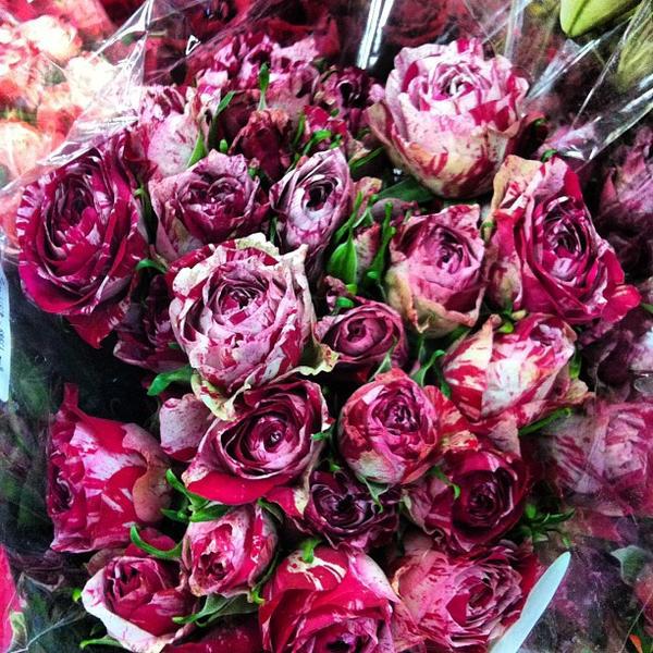 Photo taken at Trader Joe's by Sky B. on 4/7/2012-维吉尼亚州维珍妮亚海滩希尔托普地区503号 Photo taken at Trader Joe's by Sky B. on 4/7/2012