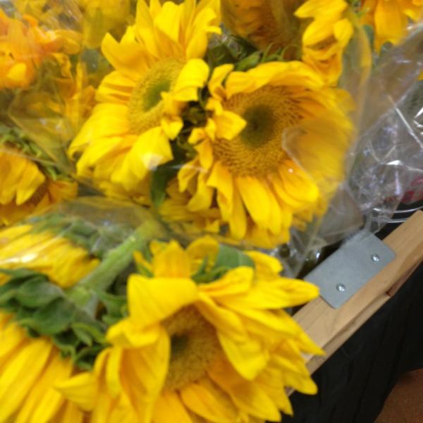 Photo taken at Trader Joe's by @ngie on 3/28/2013