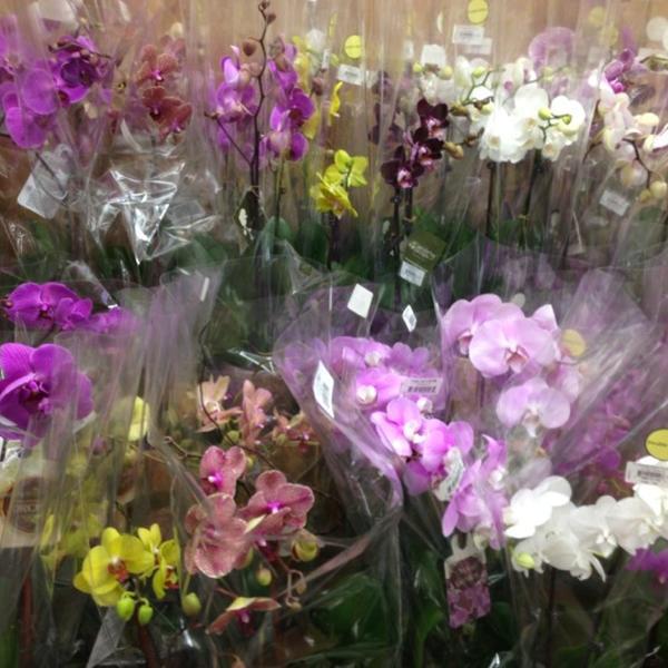 Photo taken at Trader Joe's by Bay Area D. on 10/22/2012-美国加利福尼亚州旧金山湾街401 Photo taken at Trader Joe's by Bay Area D. on 10/22/2012