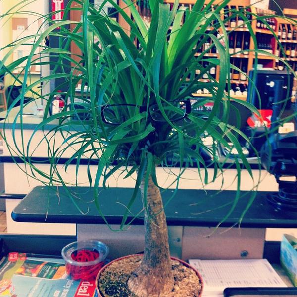 Photo taken at Whole Foods Market by Shawnee H. on 5/30/2012-加尼福尼亚雷东多海滩太平洋海岸高速公路405(山茶花和绿柱石街之间) Photo taken at Whole Foods Market by Shawnee H. on 5/30/2012