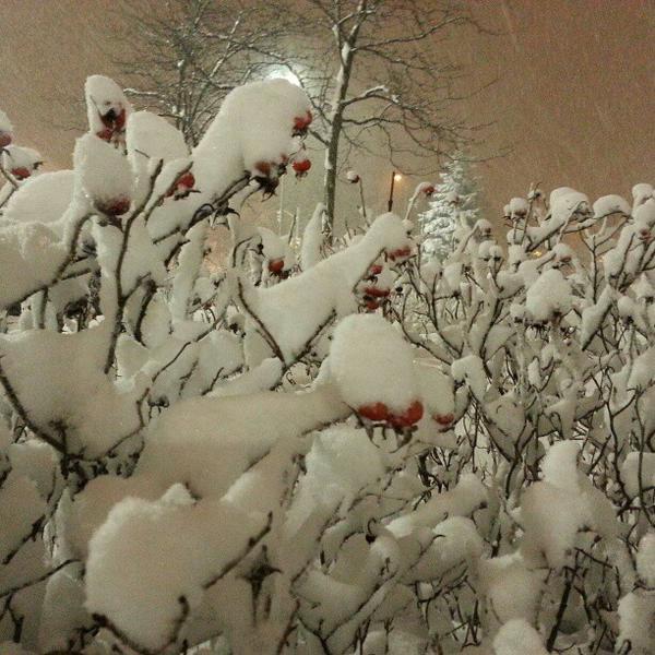 Photo taken at Loblaws by W. Andrew P. on 2/17/2013