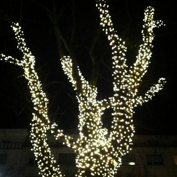 Photo taken at Rossmann by Bernd Baltz @. on 12/13/2012