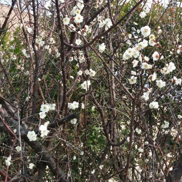 Photo taken at 이마트 (E-Mart) by M C J. on 2/3/2014-济州西归浦市9209易买得超市 Photo taken at 이마트 (E-Mart) by M C J. on 2/3/2014