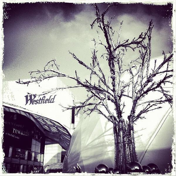 Photo taken at Waitrose by Jo L. on 11/15/2012-英国伦敦牧人布什购物中心 Photo taken at Waitrose by Jo L. on 11/15/2012