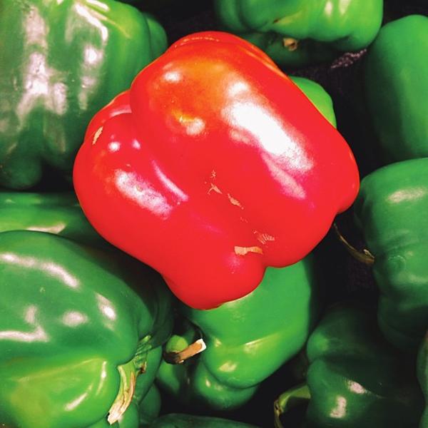 Photo taken at Coles by Amir A. on 6/28/2013