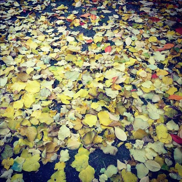 Billa - Campus der Universität Wien图片库 Billa - Campus der Universität Wien图片库