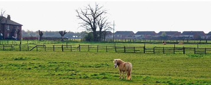 米德尔斯堡购物生活指南