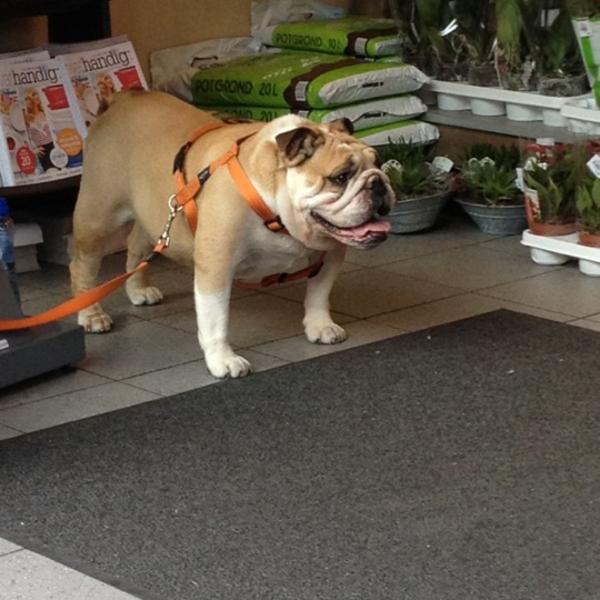 Photo taken at Albert Heijn by Saminah M. on 6/26/2012-荷兰阿姆斯特丹腓特烈亨利街81号 Photo taken at Albert Heijn by Saminah M. on 6/26/2012