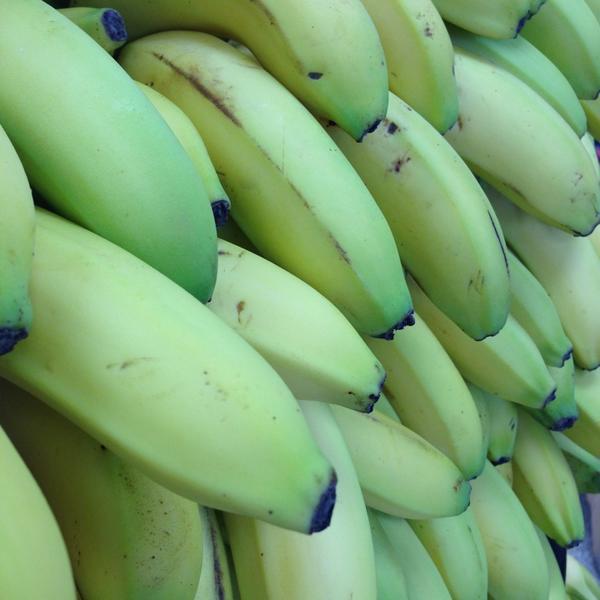 Photo taken at Trader Joe's by Rob Mc C. on 7/9/2013