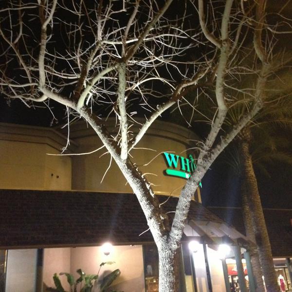 Photo taken at Whole Foods Market by Gentry on 2/7/2013