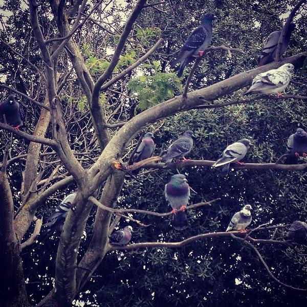 Photo taken at Coop Cisanello, Pisa by vadoevedo on 4/3/2014-意大利托斯卡纳比萨斯散奈尔1-3区马纳拉瓦尔吉米利路 Photo taken at Coop Cisanello, Pisa by vadoevedo on 4/3/2014