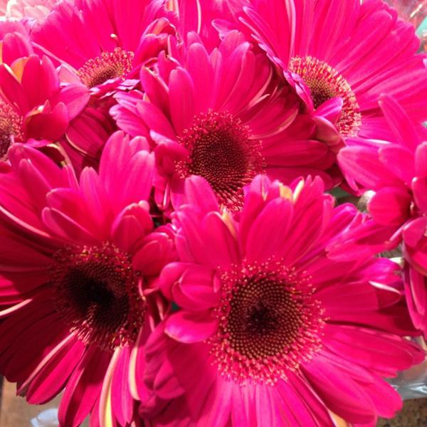 Photo taken at Whole Foods by Fabrienne A. on 3/3/2013