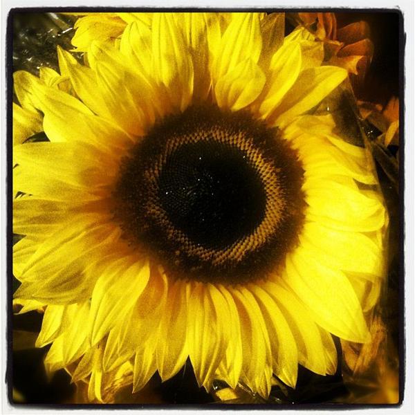 Photo taken at Whole Foods by James B. on 2/25/2012