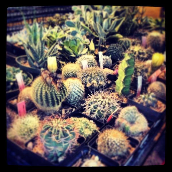 Photo taken at Whole Foods Market by Laura W. on 5/2/2013-德克萨斯州奥斯丁拉马尔大道525 Photo taken at Whole Foods Market by Laura W. on 5/2/2013