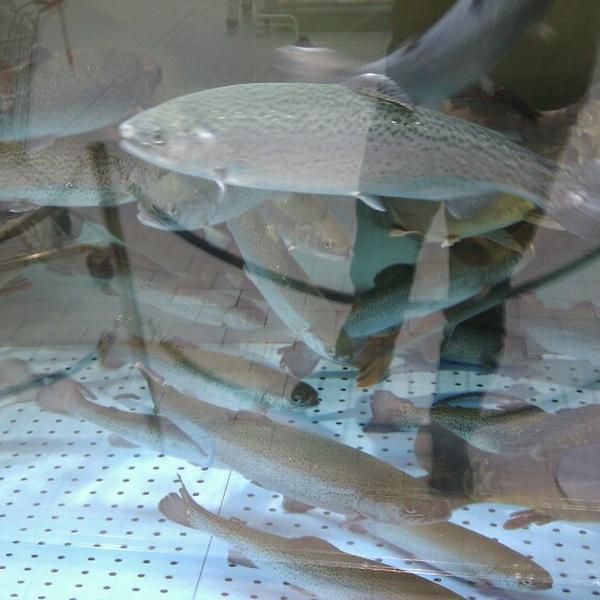 Photo taken at Kaufland by tilmann g. on 1/17/2013