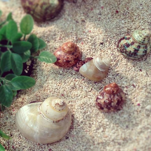 Photo taken at 홈플러스 (Home plus) by Soyeon J. on 6/1/2013