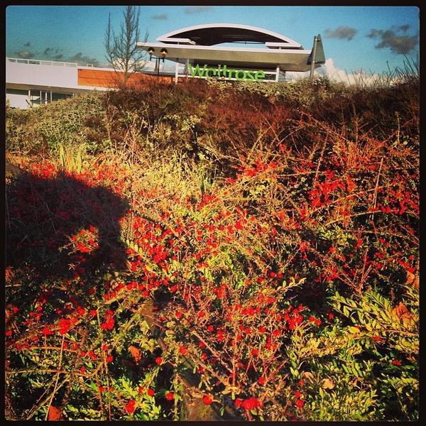 Photo taken at Waitrose by Milan T. on 1/19/2014-英国西米德兰兹郡佩恩路 Photo taken at Waitrose by Milan T. on 1/19/2014