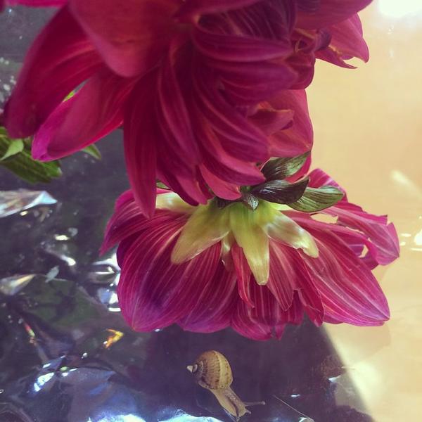 Photo taken at Trader Joe's by Alexandra, T. on 9/9/2014