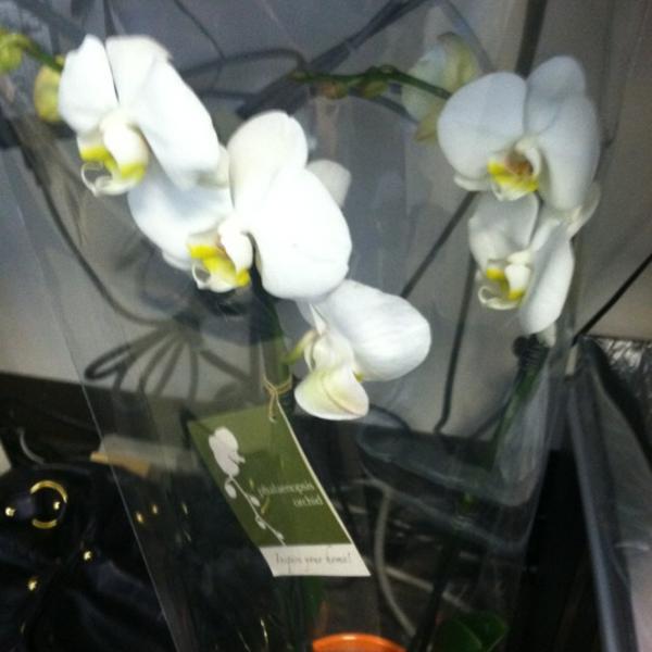 Photo taken at Trader Joe's by Jacquelyn L. on 7/3/2012