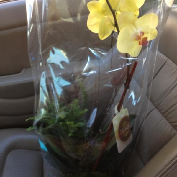 Photo taken at Trader Joe's by Joseph M. on 6/6/2012