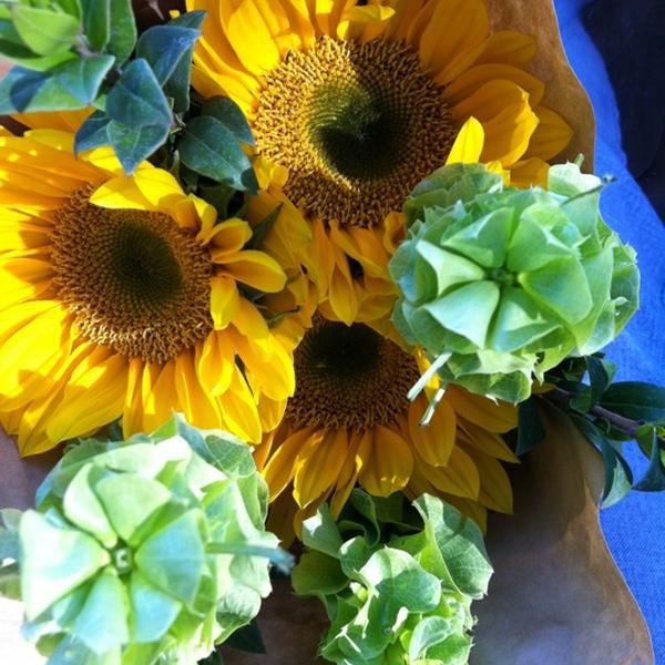 Photo taken at Trader Joe's by Joy B. on 11/12/2012