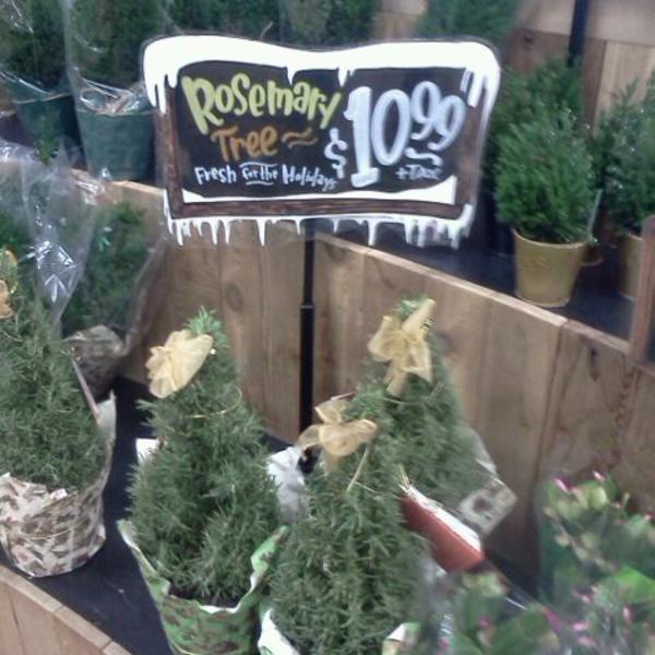 Photo taken at Trader Joe's by Dale B. on 12/17/2011