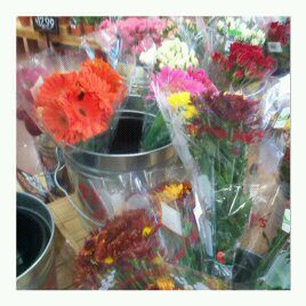 Photo taken at Trader Joe's by Martha Y. on 11/18/2012