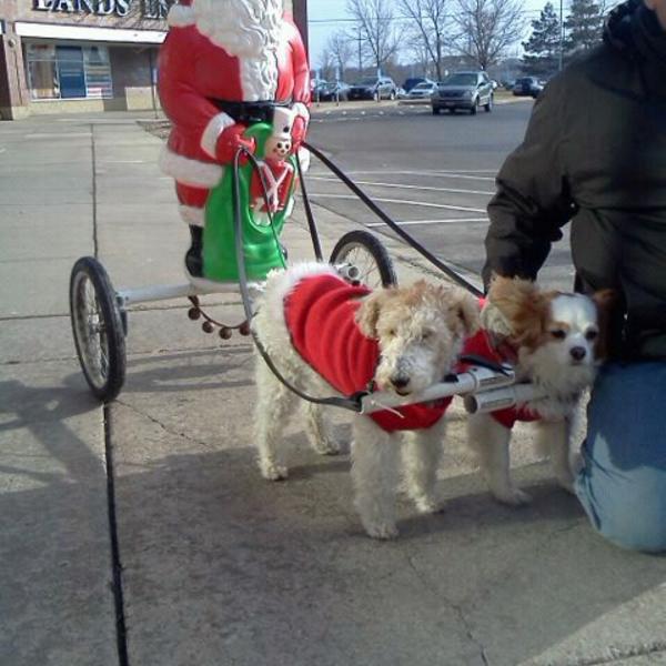 Photo taken at Trader Joe's by Dale B. on 12/17/2011