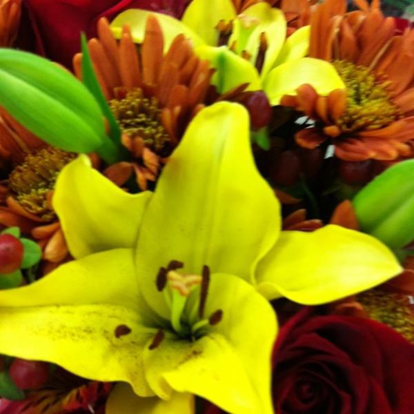 Photo taken at Trader Joe's by Reem A. on 11/16/2011