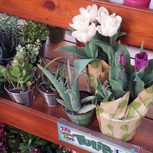 Photo taken at Trader Joe's by Christina M. on 3/4/2014