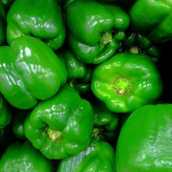 Photo taken at Trader Joe's by Seamas O. on 3/24/2013-纽泽西州帕拉默斯米德兰大道404号 Photo taken at Trader Joe's by Seamas O. on 3/24/2013