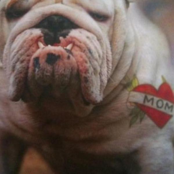 Photo taken at Trader Joe's by @WstngTme2 on 5/12/2013