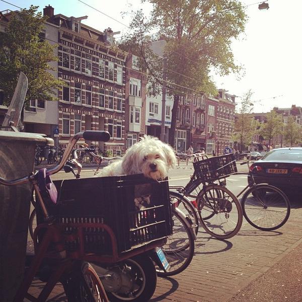 Photo taken at Albert Heijn by Andy J. on 6/8/2013-荷兰北荷兰省阿姆斯特丹欧莞托么454 Photo taken at Albert Heijn by Andy J. on 6/8/2013