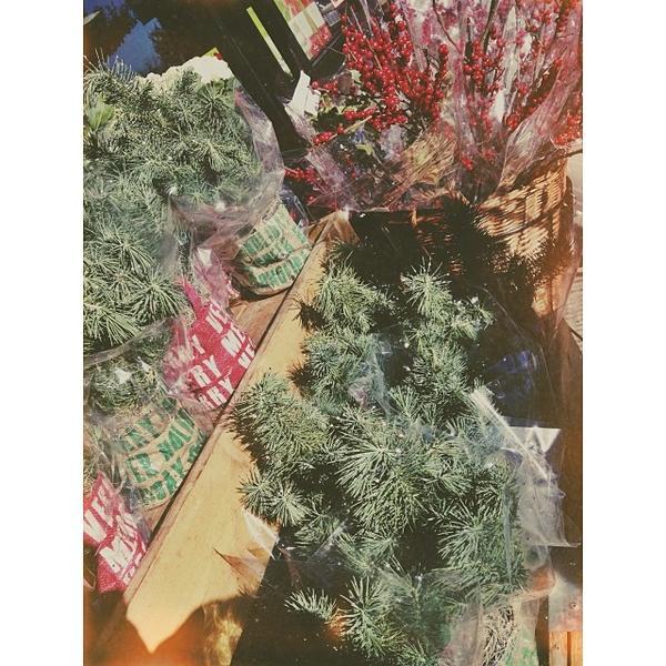 Photo taken at Trader Joe's by Lisa on 12/13/2013