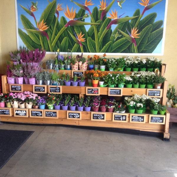 Photo taken at Trader Joe's by TELL ME THE SALE™ on 3/20/2014-美国加利福尼亚州圣地亚哥石榴石大道1211 Photo taken at Trader Joe's by TELL ME THE SALE™ on 3/20/2014