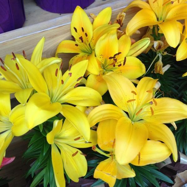 Photo taken at Trader Joe's by Cheryl L. on 10/12/2012