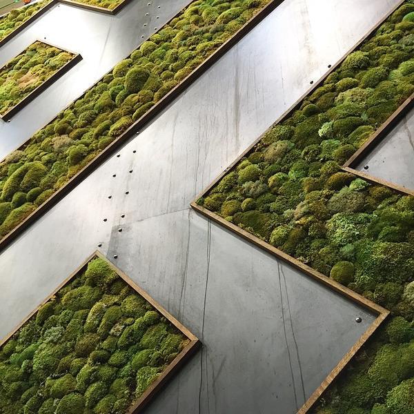 Photo taken at Whole Foods Market by Sean M. on 3/20/2015-德克萨斯州奥斯汀多曼11920 Photo taken at Whole Foods Market by Sean M. on 3/20/2015