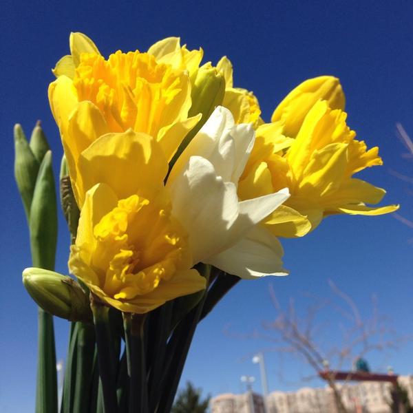 Photo taken at Trader Joe's by Lauren K. on 3/16/2014