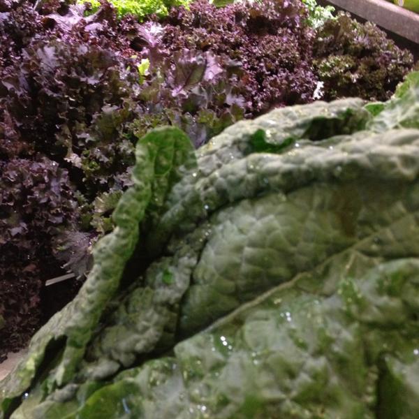 Photo taken at Whole Foods Market by Allie T. on 1/5/2013-美国马萨诸塞州安多佛铁路街40 Photo taken at Whole Foods Market by Allie T. on 1/5/2013