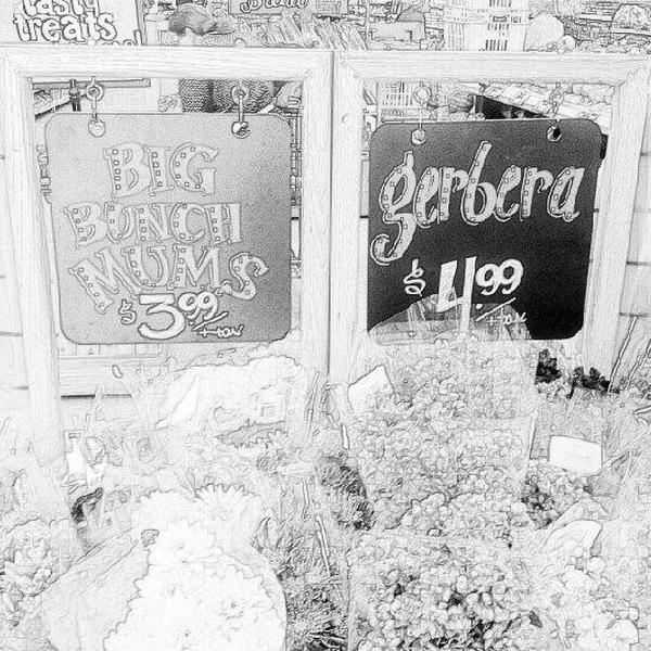 Photo taken at Trader Joe's by Dave S. on 2/6/2013