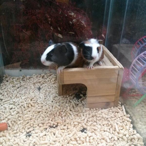 Photo taken at 홈플러스 / Home Plus by 재민 박. on 9/16/2012-京畿道水原市长安区81 Photo taken at 홈플러스 / Home Plus by 재민 박. on 9/16/2012