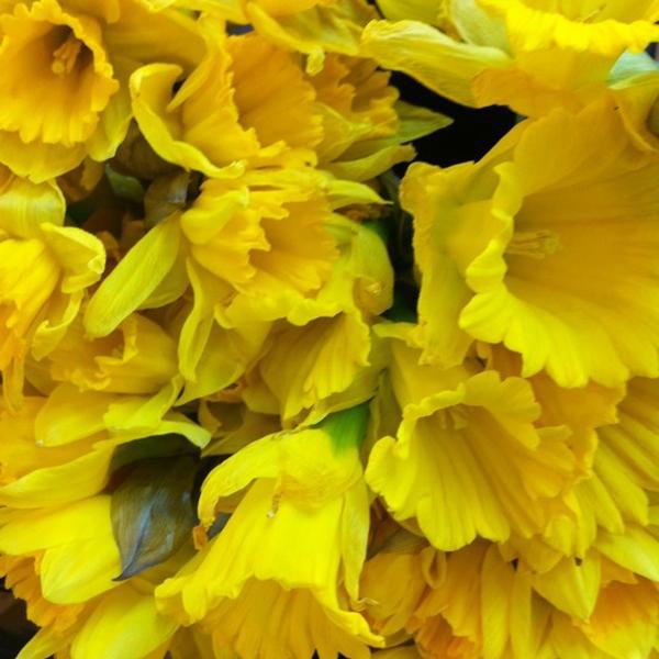 Photo taken at Whole Foods Market by Eric E. on 3/28/2012