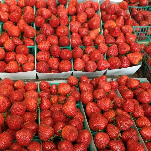 Photo taken at Whole Foods Market by Tonia on 5/11/2013