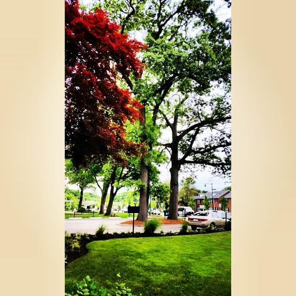 Photo taken at Wegmans by Ali N. on 6/10/2014