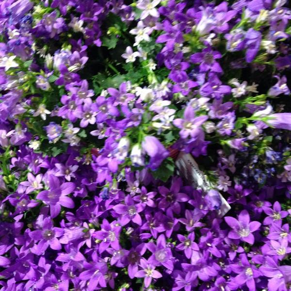 Photo taken at Wegmans by Totsaporn I. on 8/2/2014