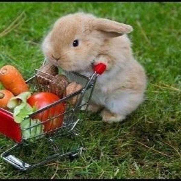 Photo taken at Albert Heijn by Yaantje