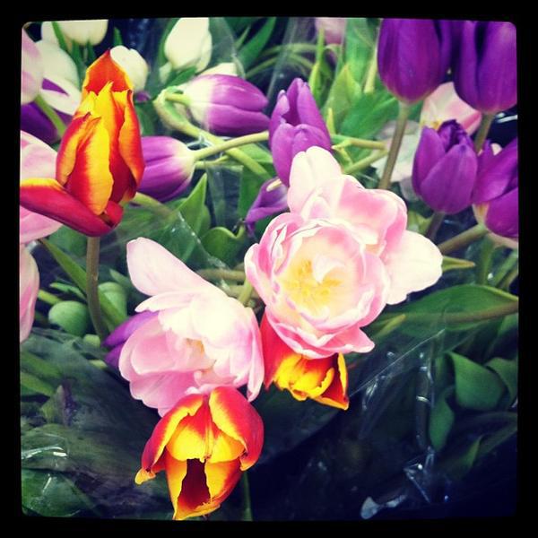 Photo taken at Trader Joe's by esther j. on 5/12/2012