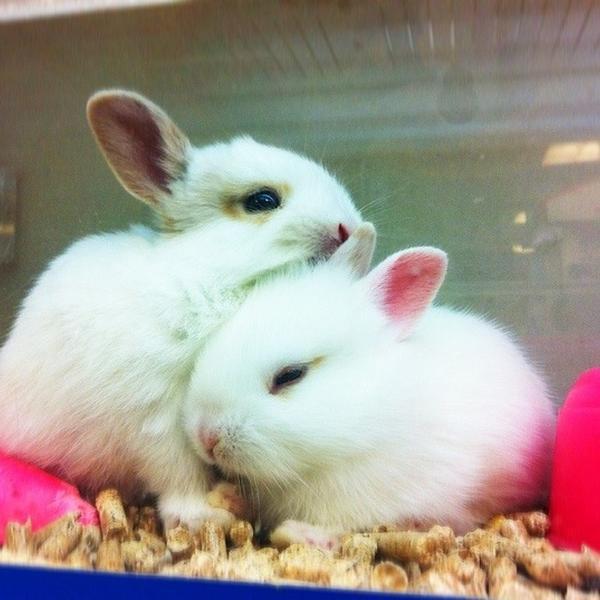 Photo taken at 이마트 / E-Mart by jy c. on 10/22/2012-首尔特别市机场74易买得超市 Photo taken at 이마트 / E-Mart by jy c. on 10/22/2012